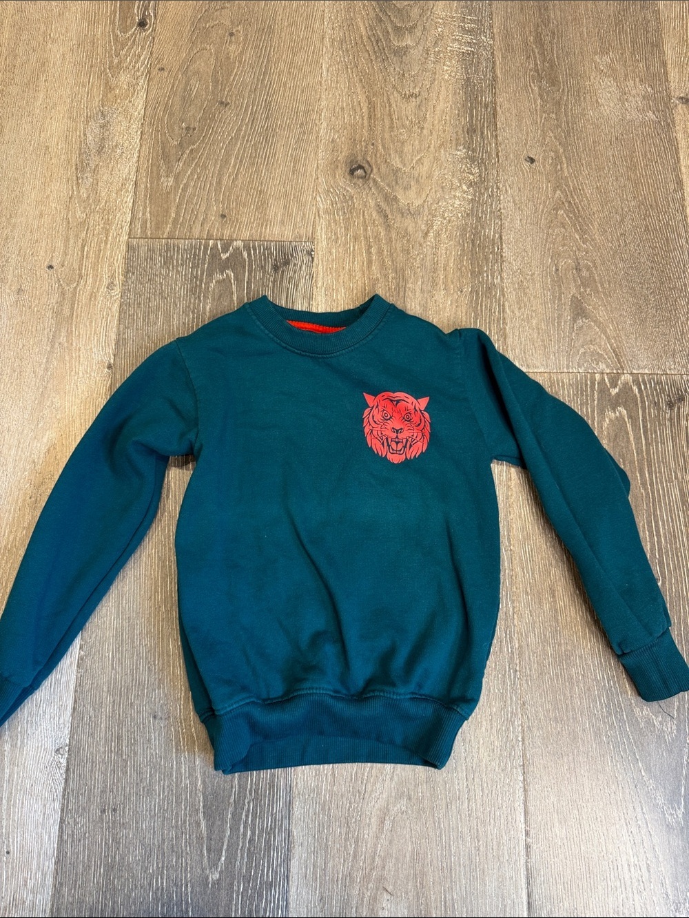 Kids Teal Sweatshirt with Red Tiger Graphic 0743